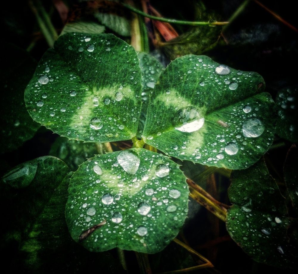 Фотография автора Valerya Vasileva