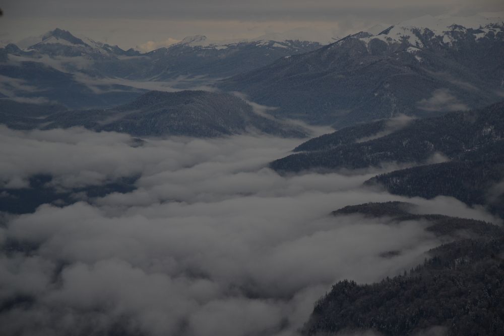 Photograph by Анастасия Логинова