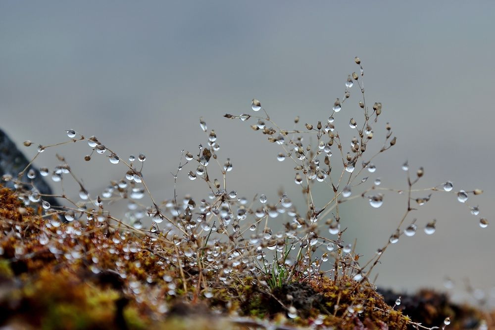 Photograph by Николай Раппу