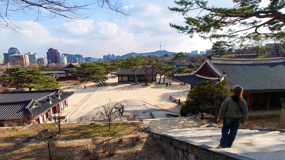 Фотография автора Elena Ku