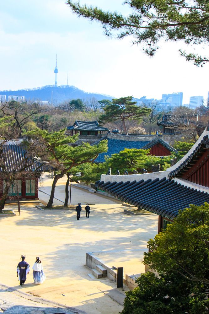 Фотография автора Elena Ku