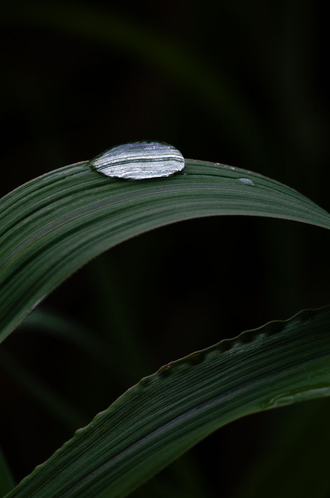 Одиночество