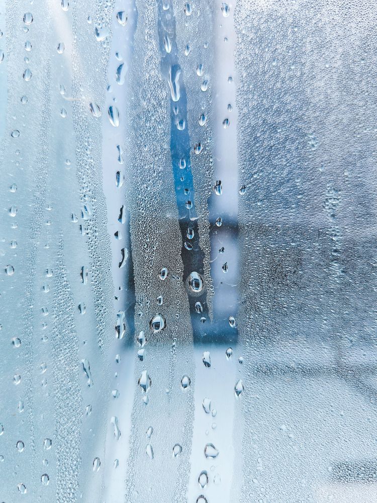 Photograph by Pati Goldberg