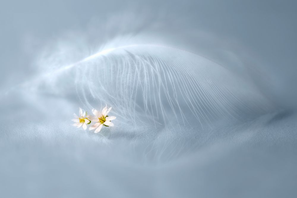 Photograph by Копцев Игорь