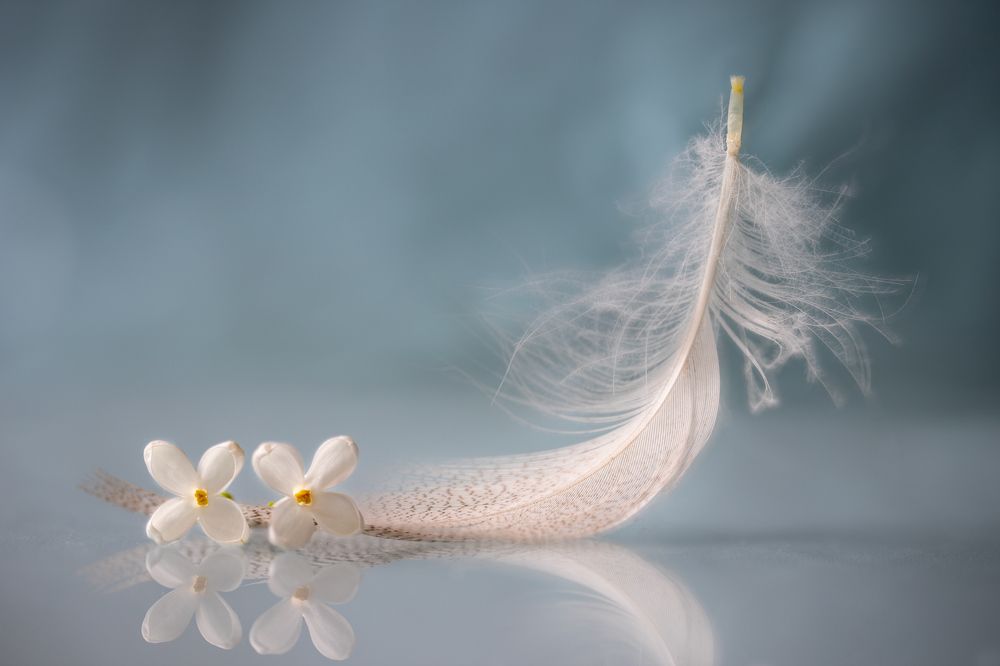 Photograph by Копцев Игорь