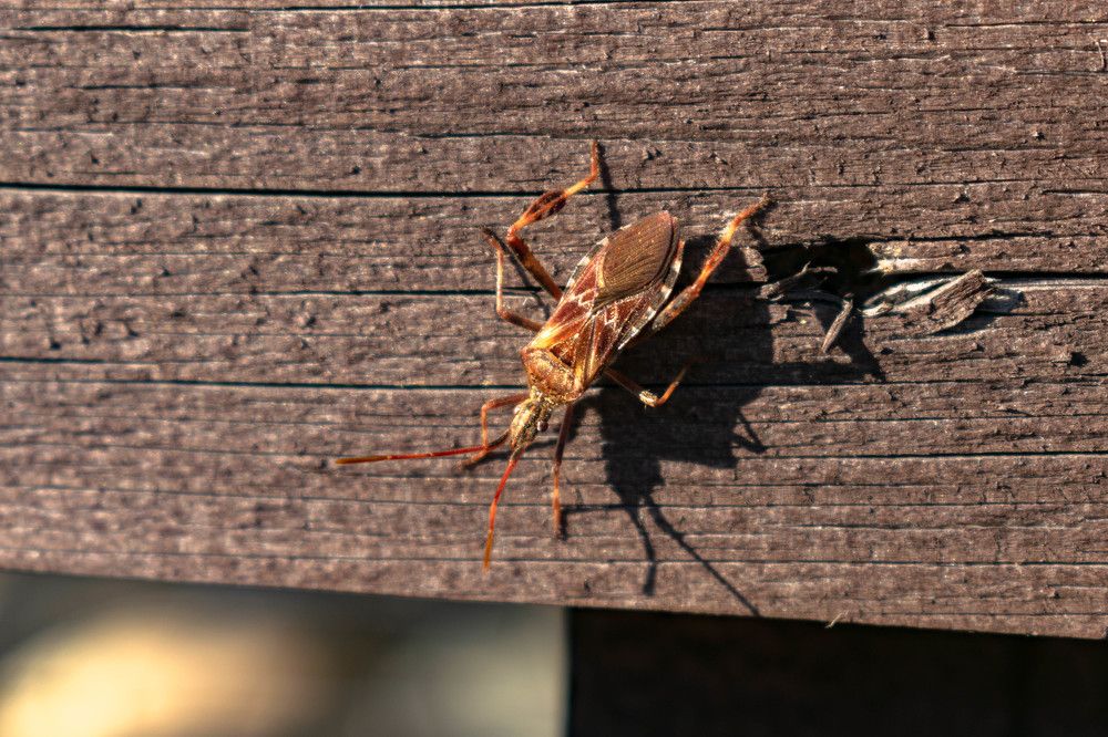 Photograph by Наталья Вялых