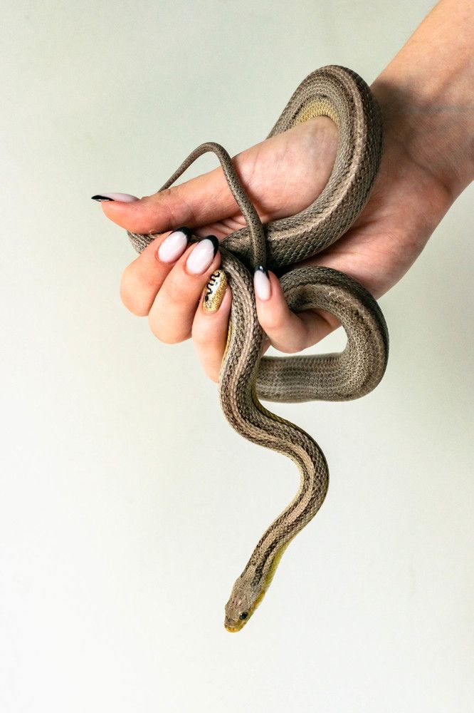 Photograph by Наталья Вялых