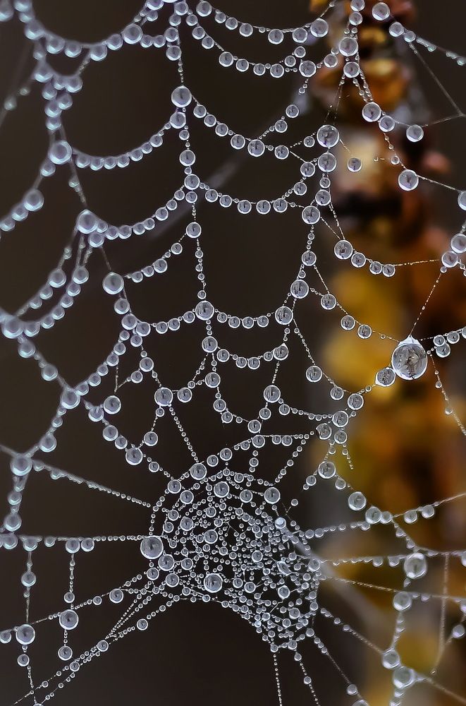 Photograph by Светлана