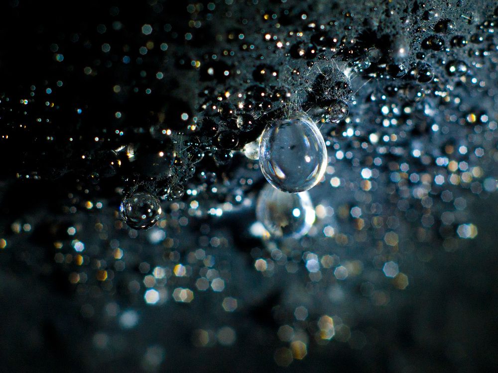 Photograph by Поляков Алексей