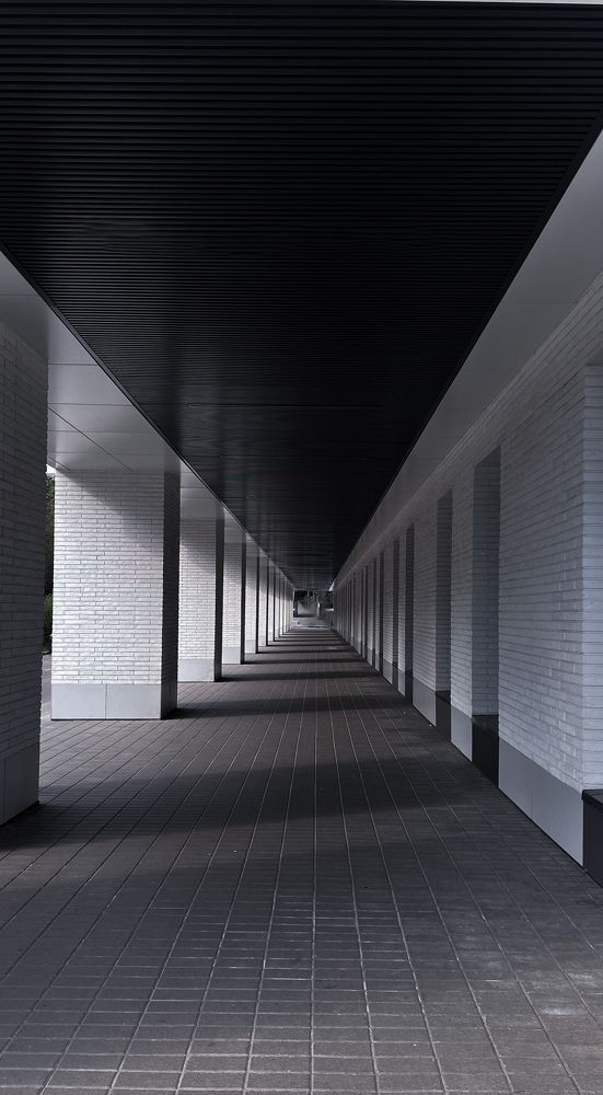 Photograph by Мария Петровцева