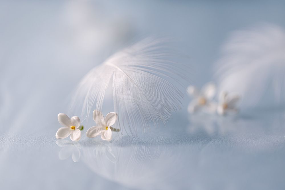 Photograph by Копцев Игорь