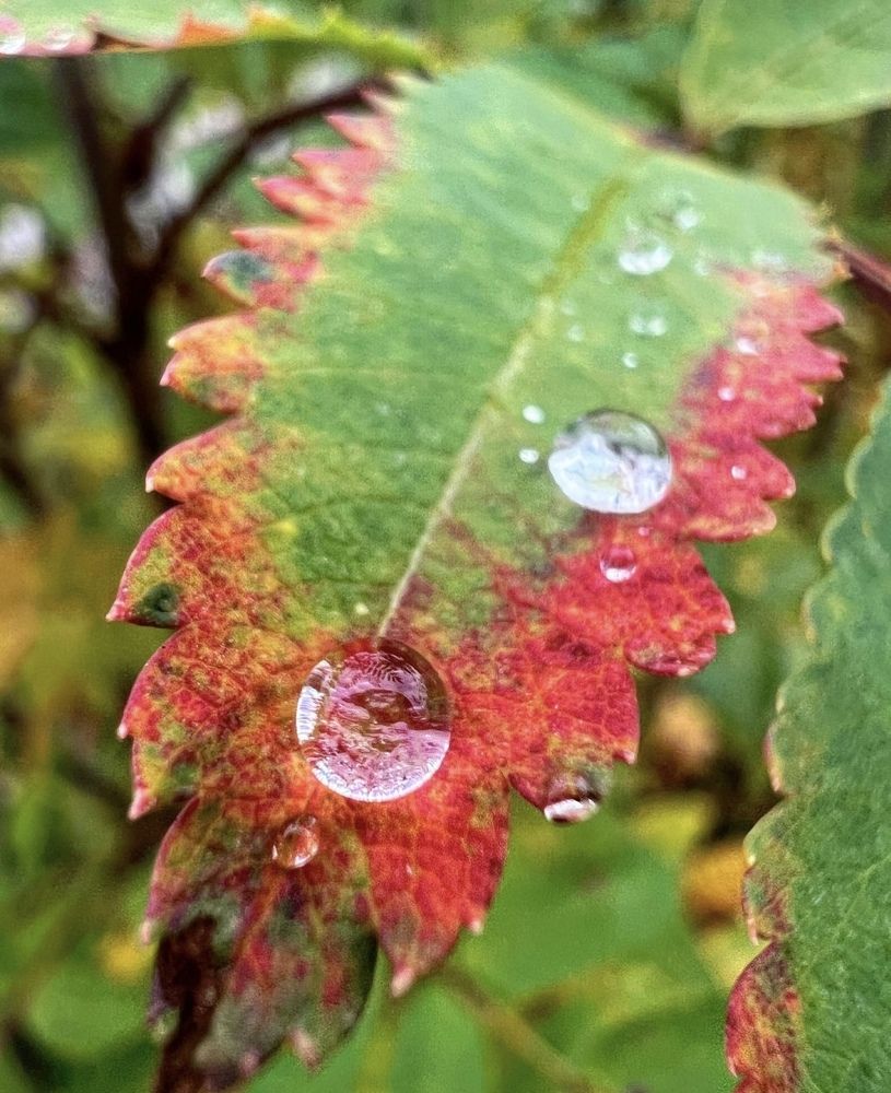 Photograph by Александра Акси