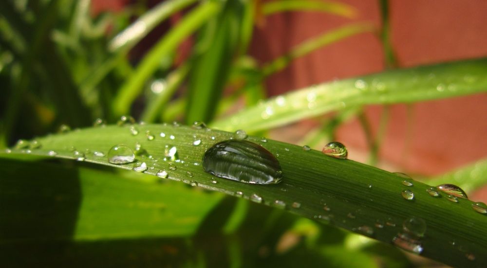 Photograph by Елизавета Зыкова