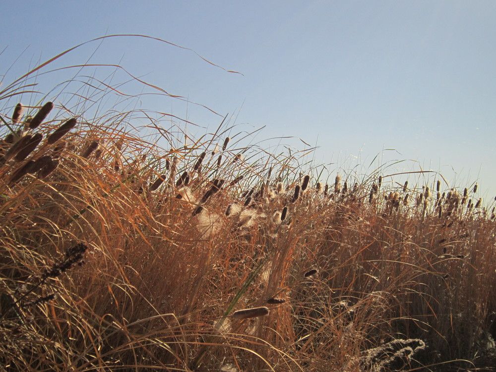 Photograph by Елизавета Зыкова