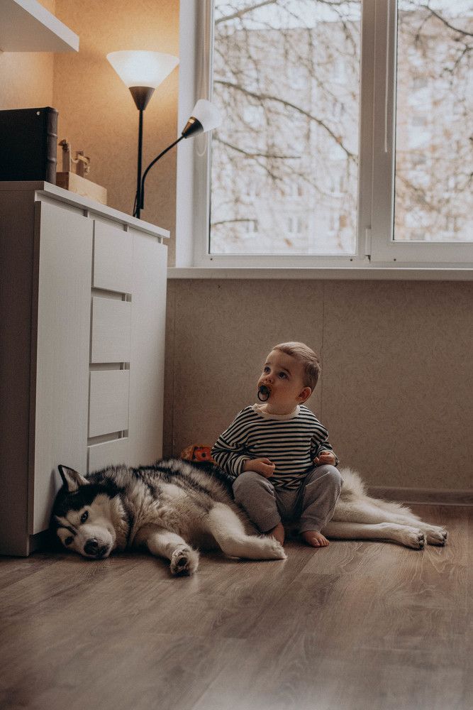 Photograph by Татьяна Лисатович