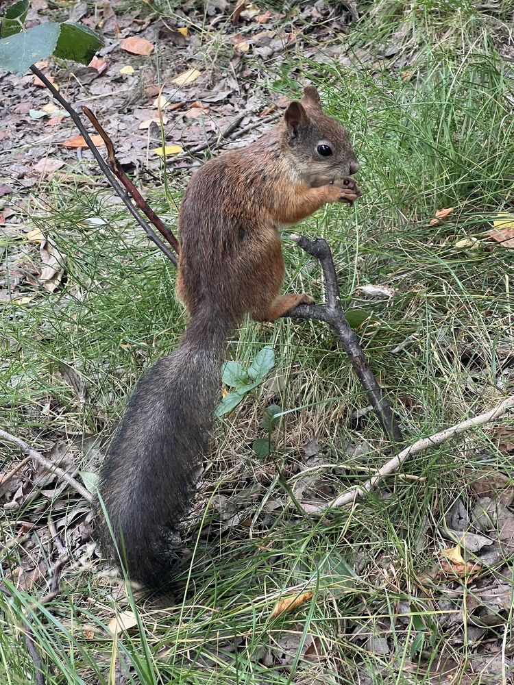 Photograph by Александра Акси