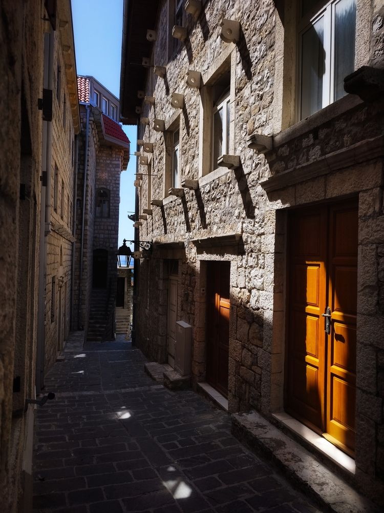 Фотография автора JELENA VASIC