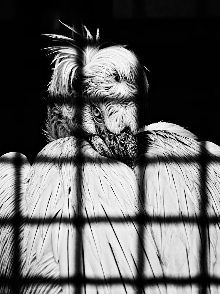 Photograph by Евгений Козлов