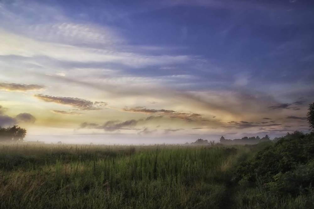 Фотография автора Юлия Кранина