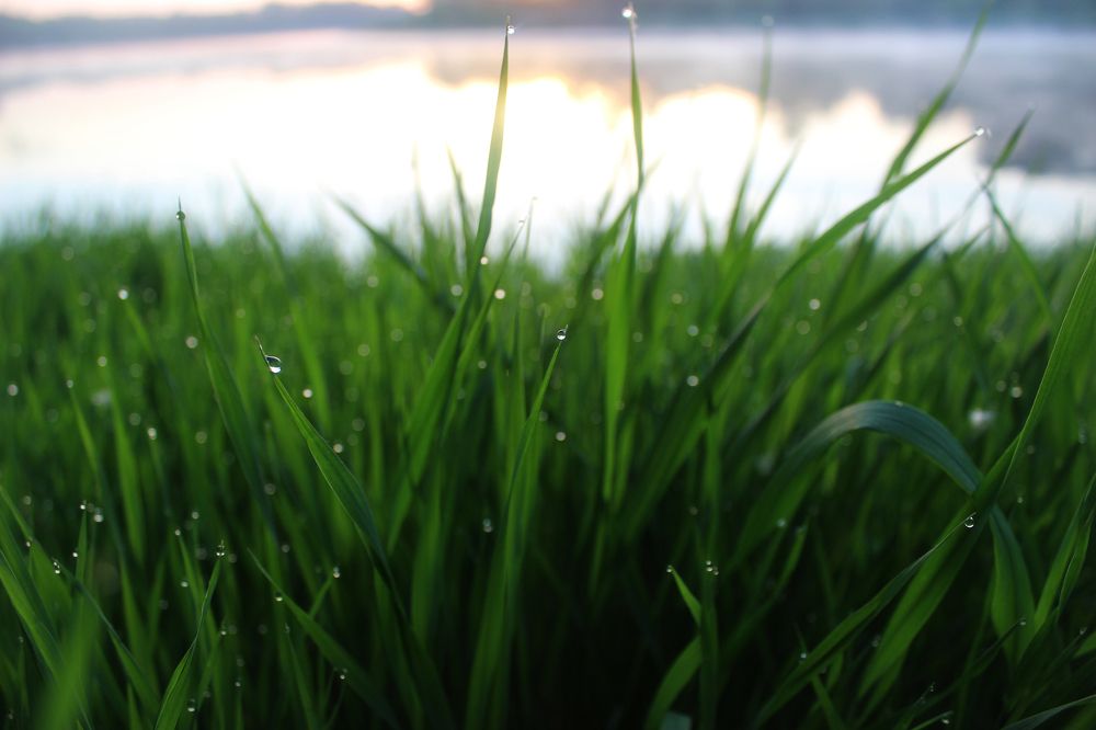 Photograph by Роман Якута