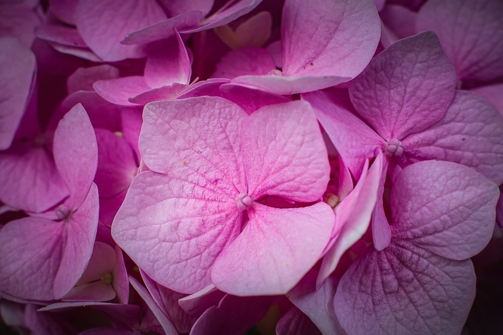 Photograph by Филипп Бабенко