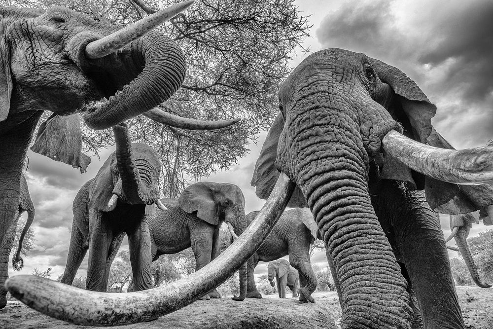 Фотография автора Dian Balan