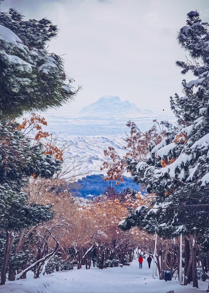 Photograph by kamran shirani