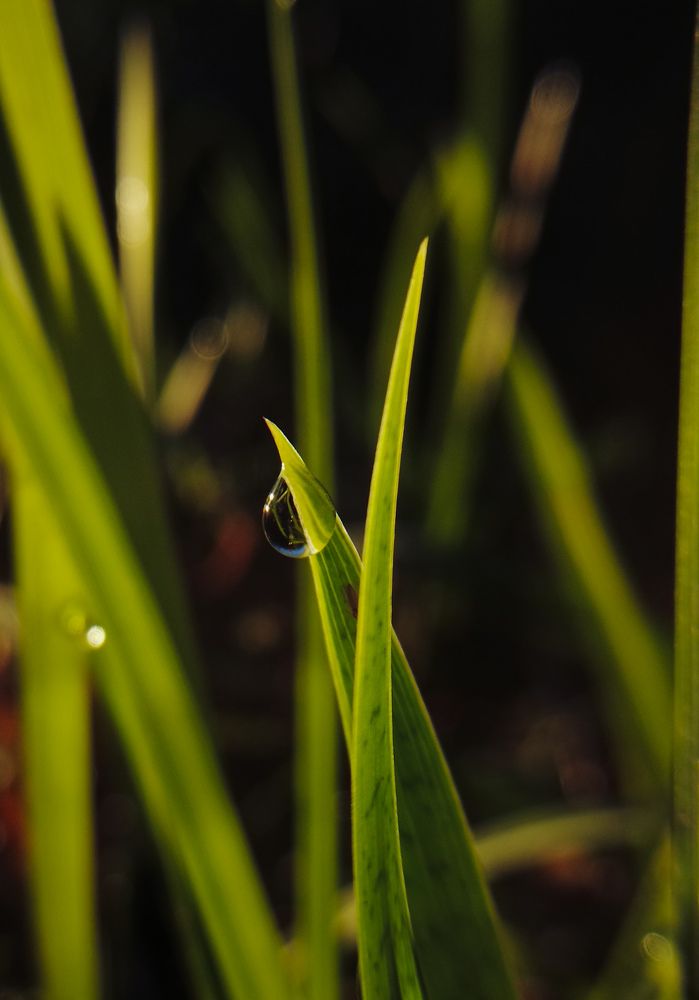Фотография автора Геннадий Ломеко