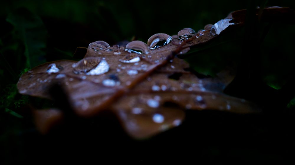 Photograph by Emy Maike