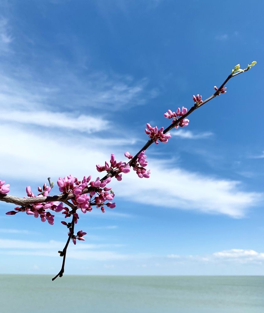 Photograph by Александра Тимошенко