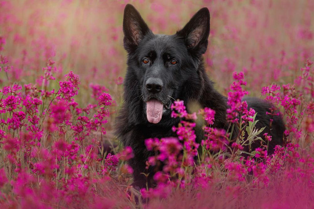 Photograph by Яна Нарбутович