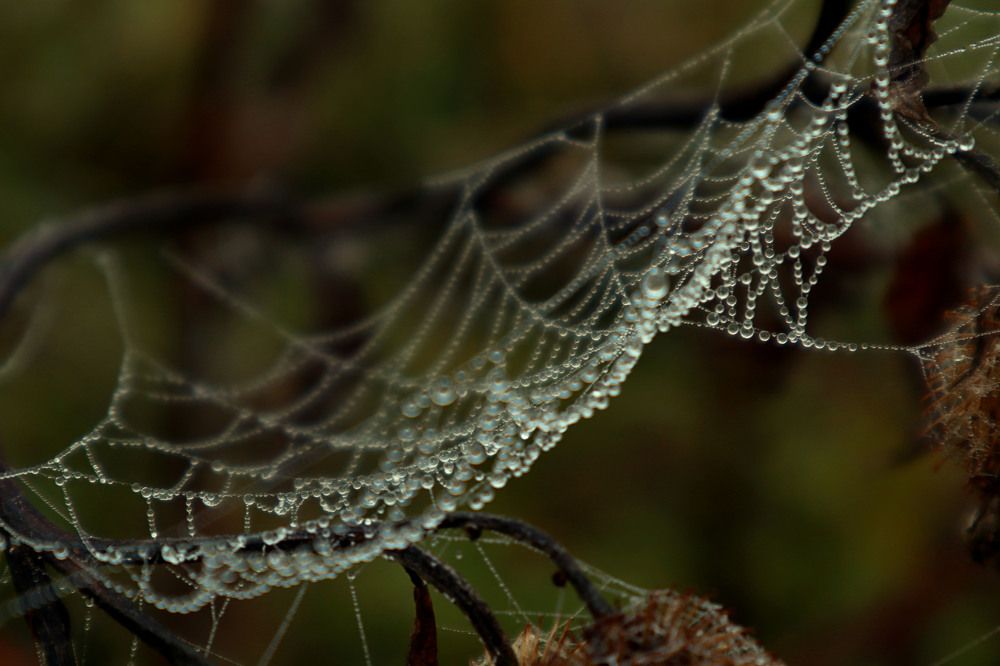 Photograph by Мария Самолевич