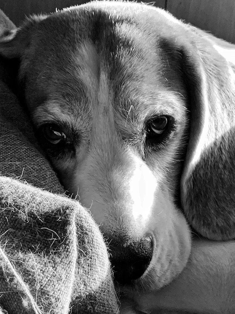 Photograph by Ирина Ахбаш