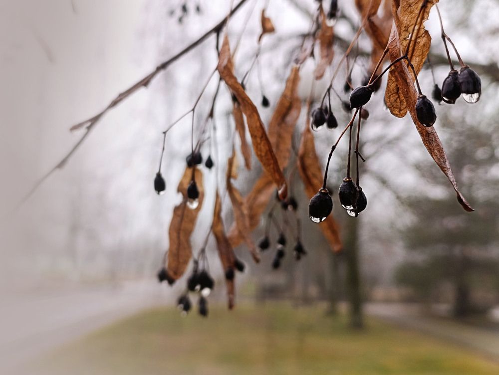 Photograph by Мария Самолевич