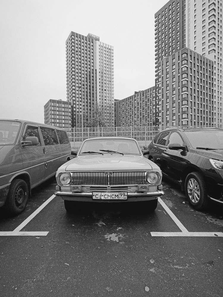 Photograph by Мазымова Елена