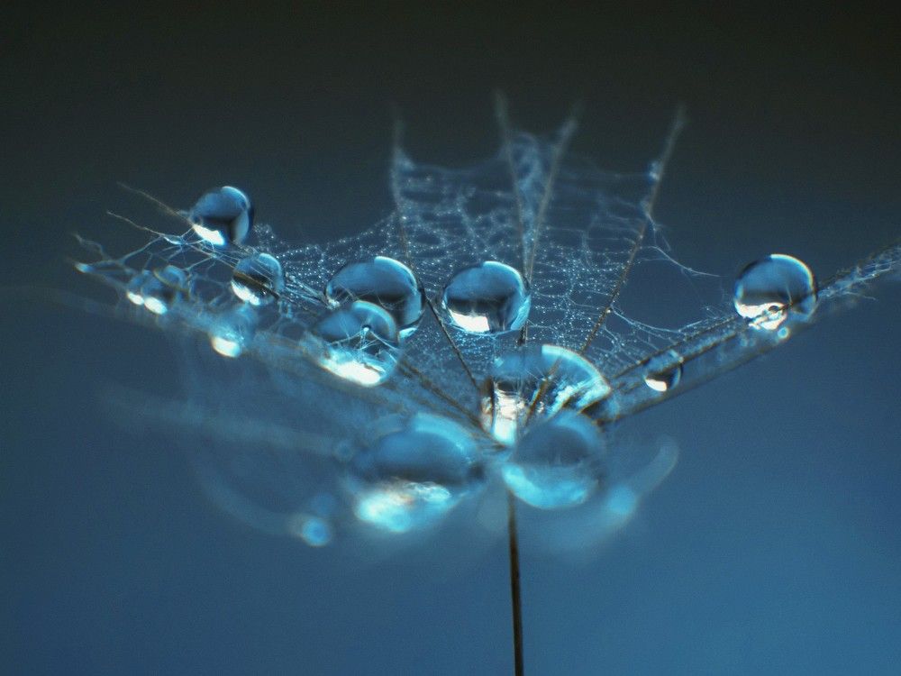 Photograph by Татьяна Максакова