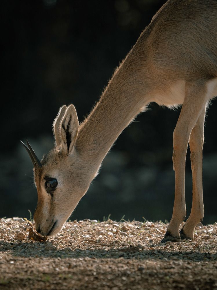 Photograph by Katherine Erlich