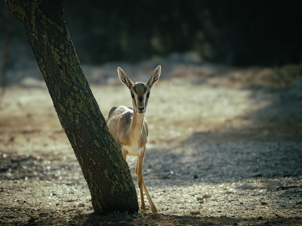 Photograph by Katherine Erlich