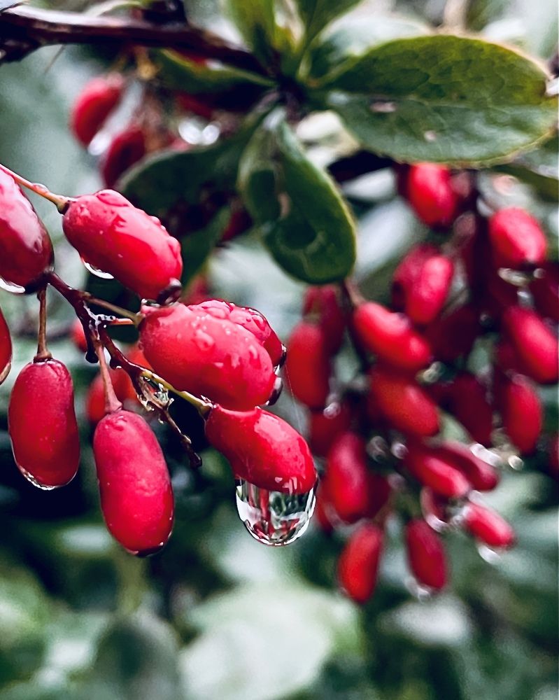 Фотография автора Ольга Каминская