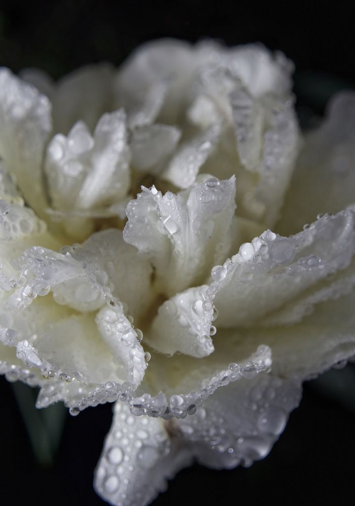 Photograph by Людмила Евстратова