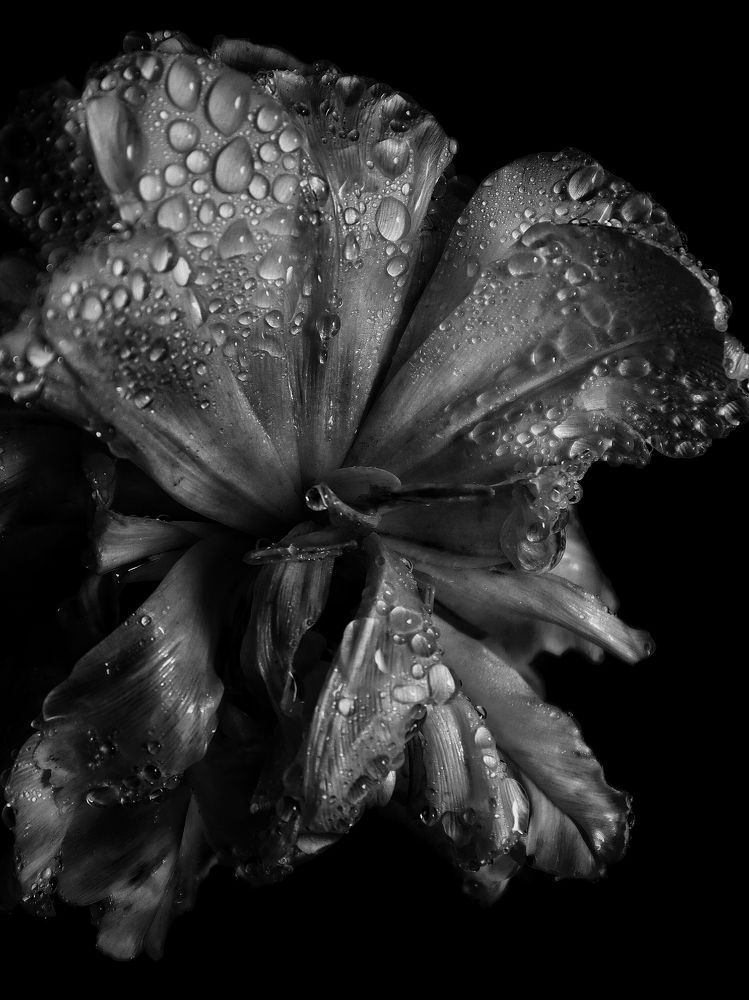 Photograph by Людмила Евстратова