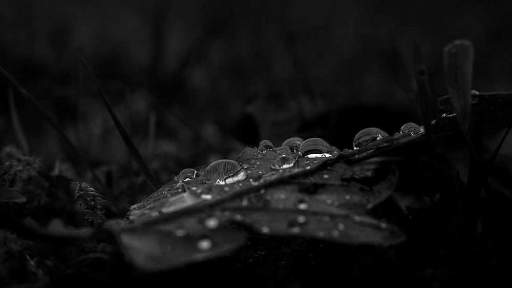 Photograph by Emy Maike