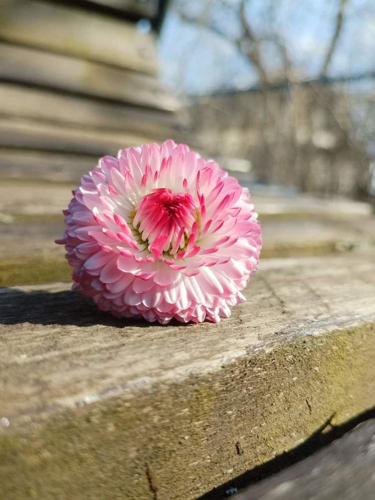 Photograph by Екатерина Супраненок