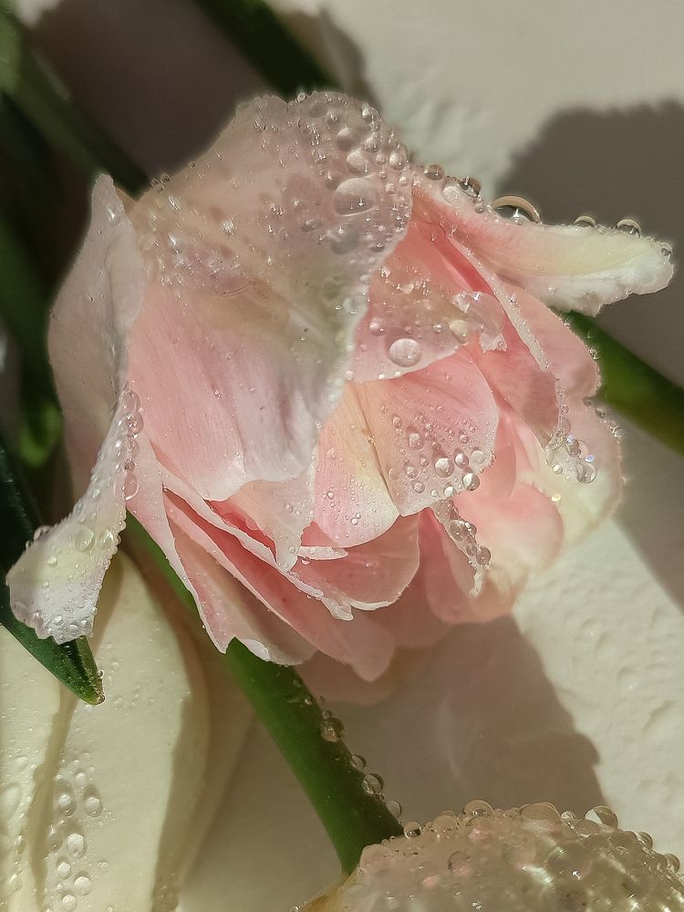 Photograph by Ольга Кошелева