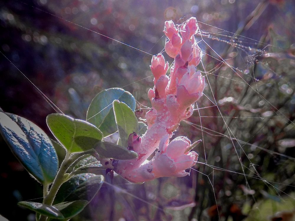 Photograph by Игорь Смирнов