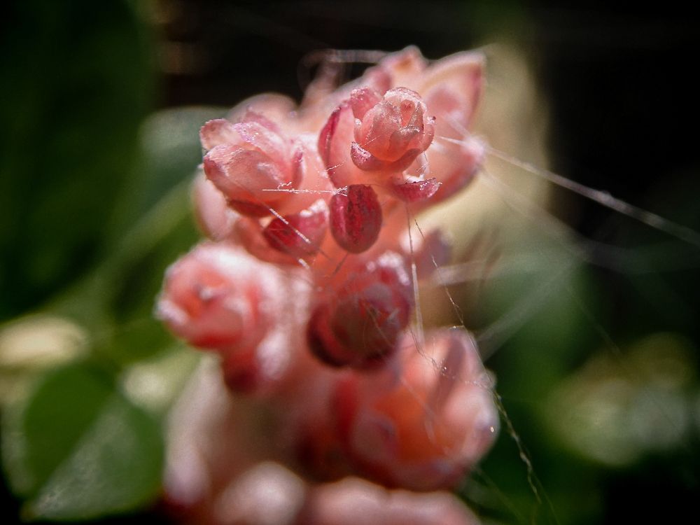 Photograph by Игорь Смирнов