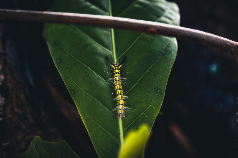 Photograph by Андрей Данилов