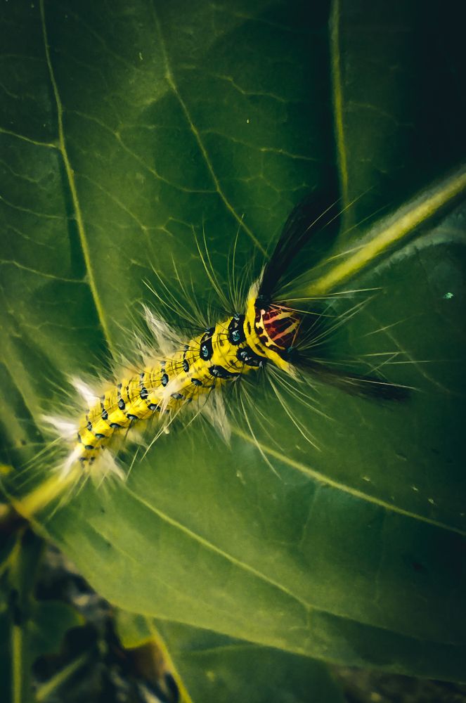 Photograph by Андрей Данилов