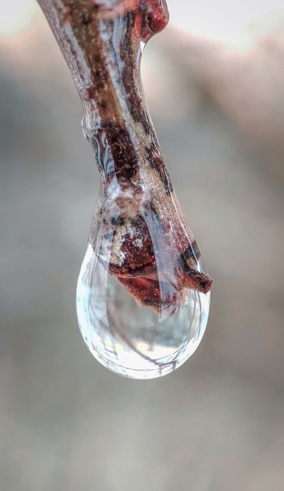 Фотография автора Анастасия Мамаева