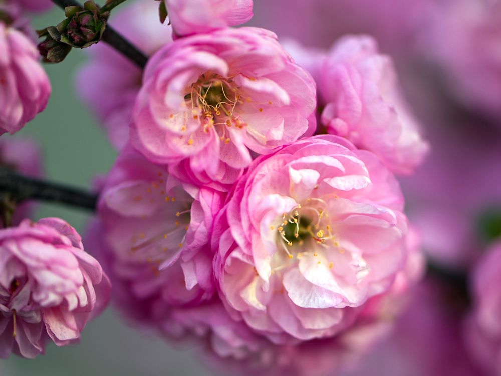 Photograph by Юлия Ковальчук